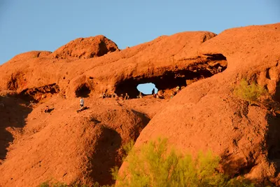 DSC_1438 (Large).JPG